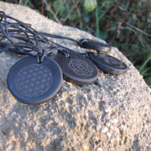 Shungite engraved pendant